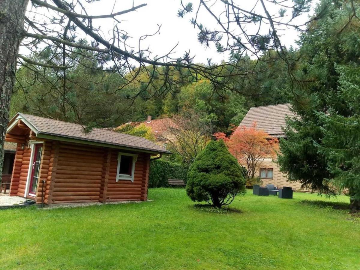 Ferienwohnung Haus am Wolfsbach Zorge Exterior foto