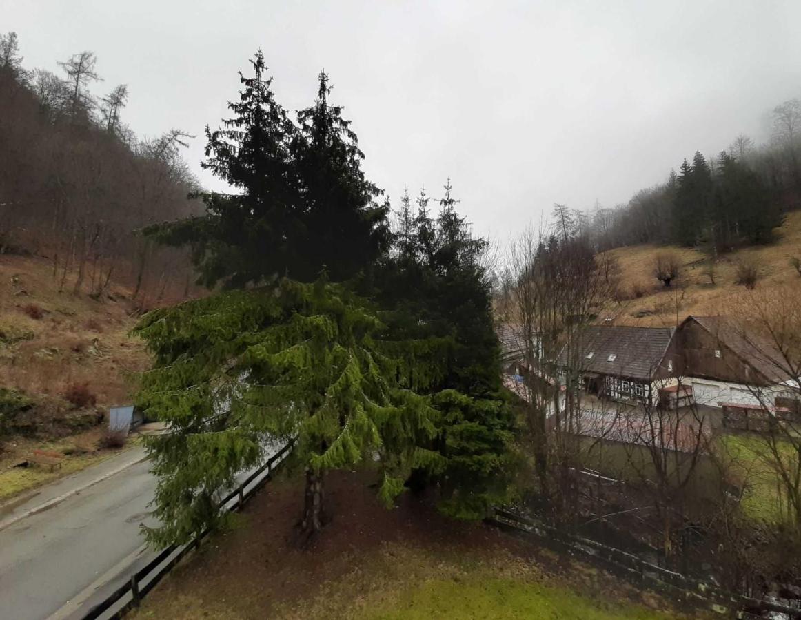 Ferienwohnung Haus am Wolfsbach Zorge Exterior foto